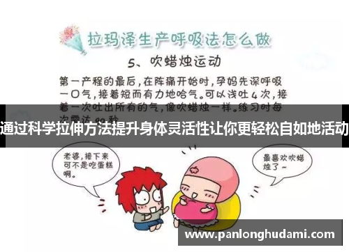 通过科学拉伸方法提升身体灵活性让你更轻松自如地活动